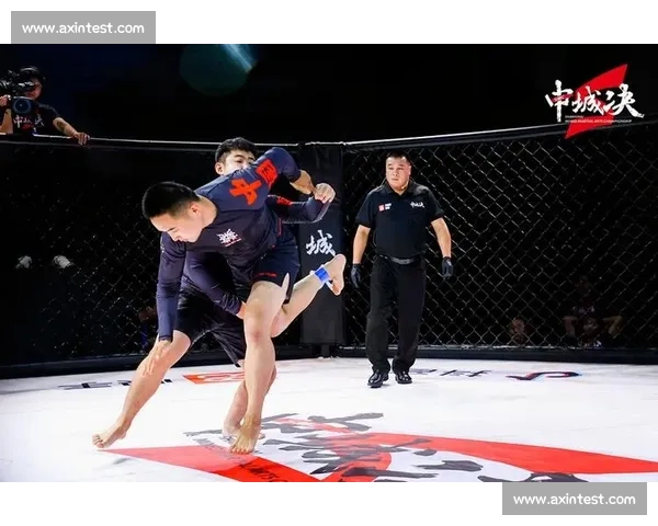 从竞技到文化全面解析综合格斗的训练赛事与精神内核发展历程与未来趋势