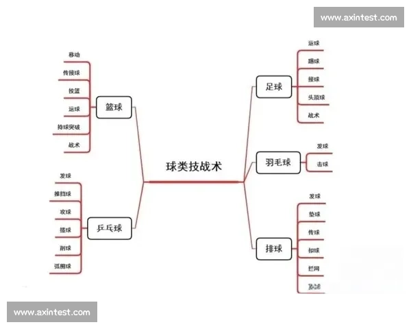 CBA篮球联赛战术风格解析与发展趋势探讨