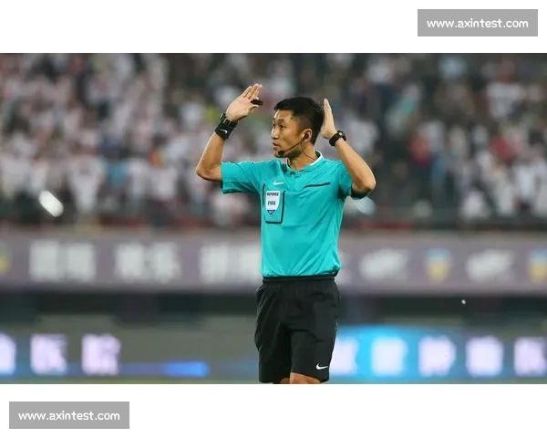 体育比赛中裁判职责与角色全面解析及执法规范指南 - 副本