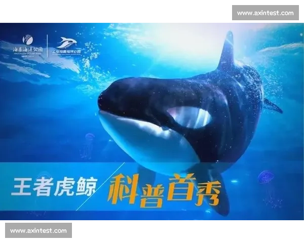 足球比赛在线观看平台入口全方位指南实时赛事更新和精彩瞬间尽在掌握 - 副本